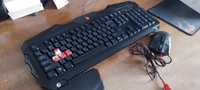 Клавиатура и мышь Bloody