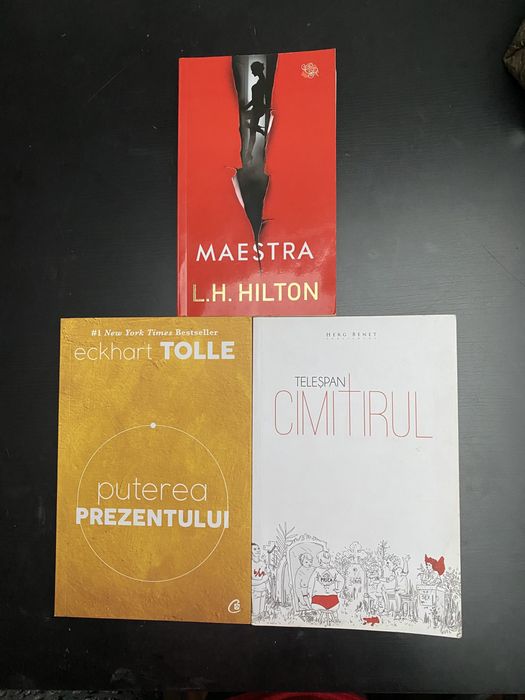 Vand carti, predare in Timisoara