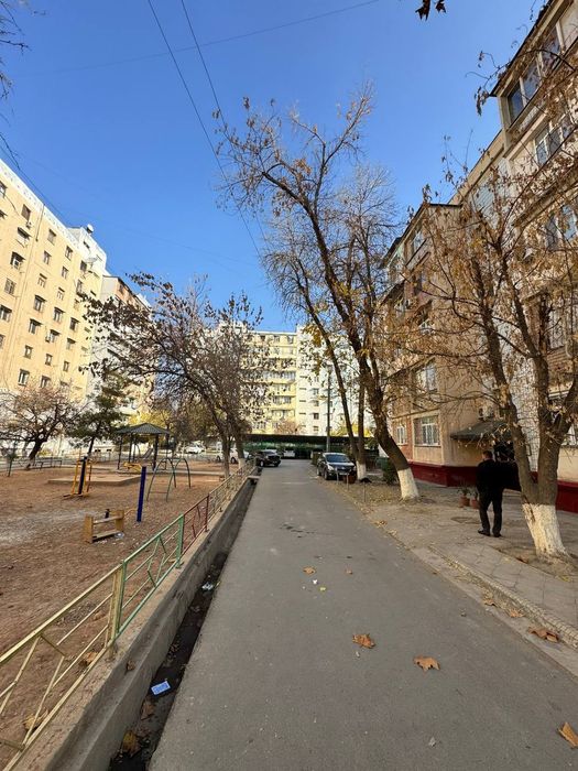 Тузель 3 массив 2хона