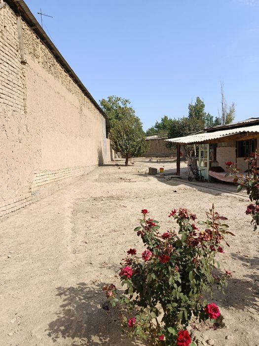 Назарбек Мевазор махалада уй сотилади 54000 y.e.