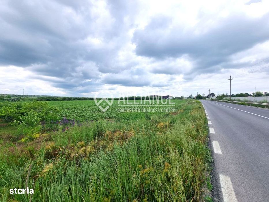 OVIDIU (COD 02)  - teren extravilan 4000 mp