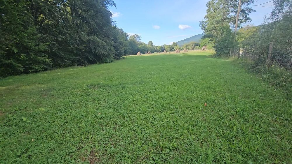 Teren Valea Doftanei