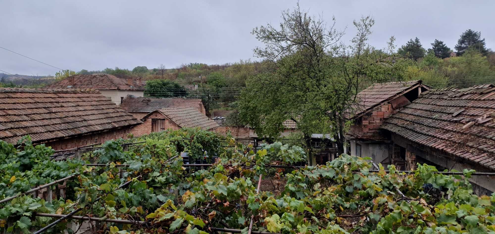Продава къща в с. Бръшляница, обл. Плевен