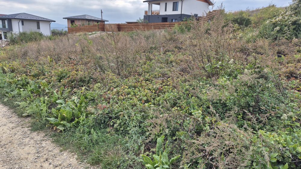 Teren Hlincea / 418 mp