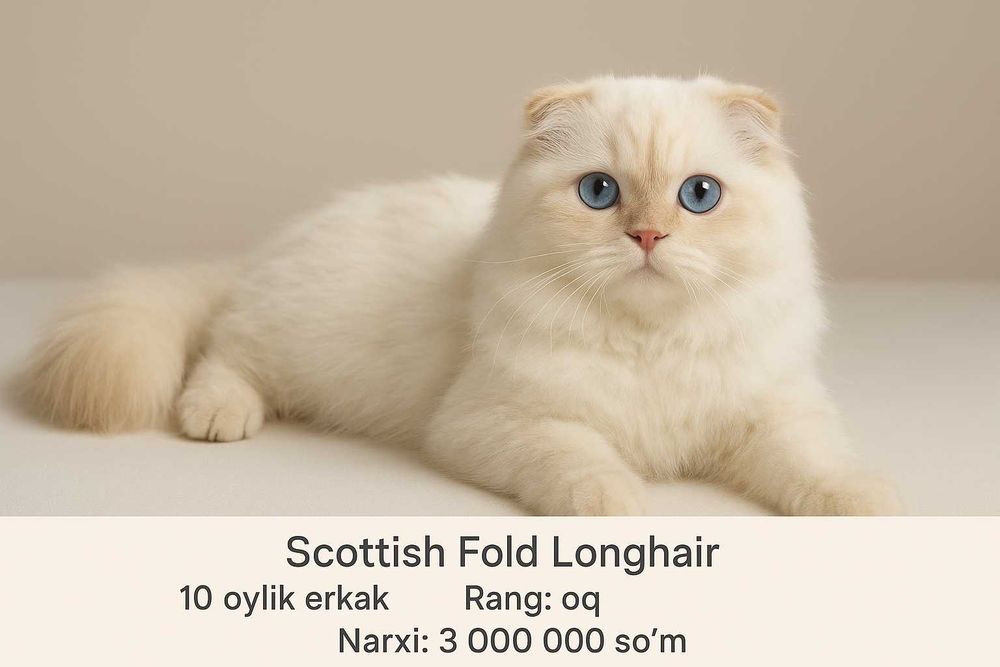 Hshsjxmdbkemsbdbxndnd