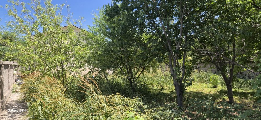 Ферма учун ёки ердан фойдаланиш учун дала ховли атрофи уралган