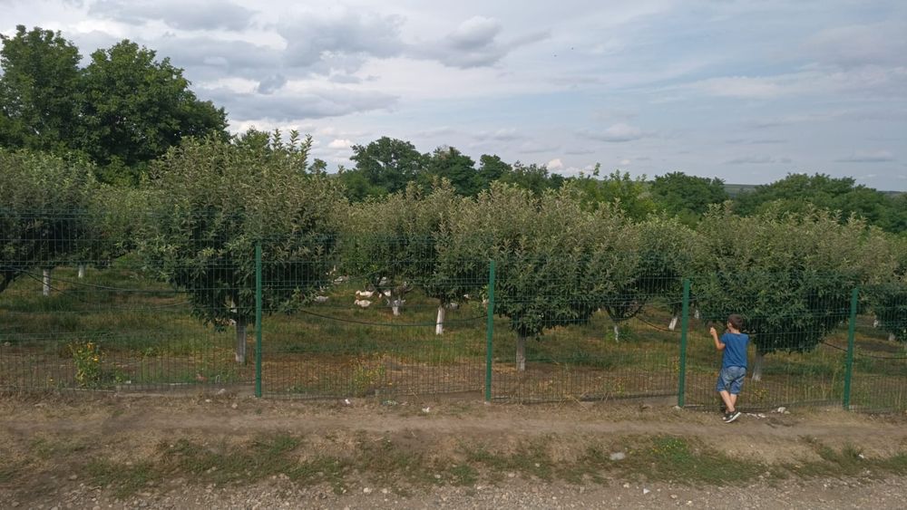 Vând teren intravilan