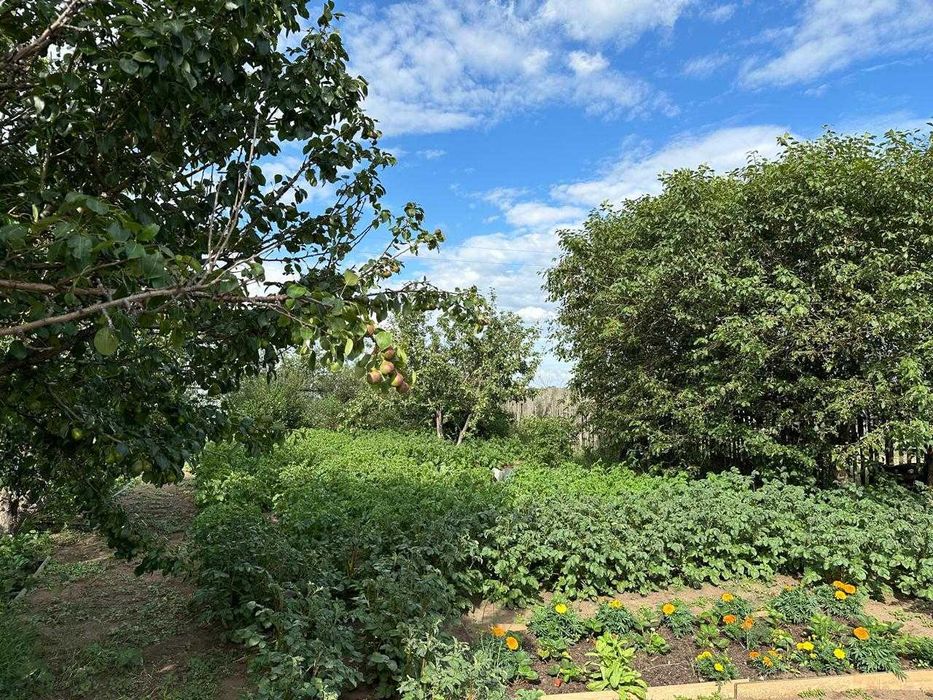 Продается дом в жм Дружба