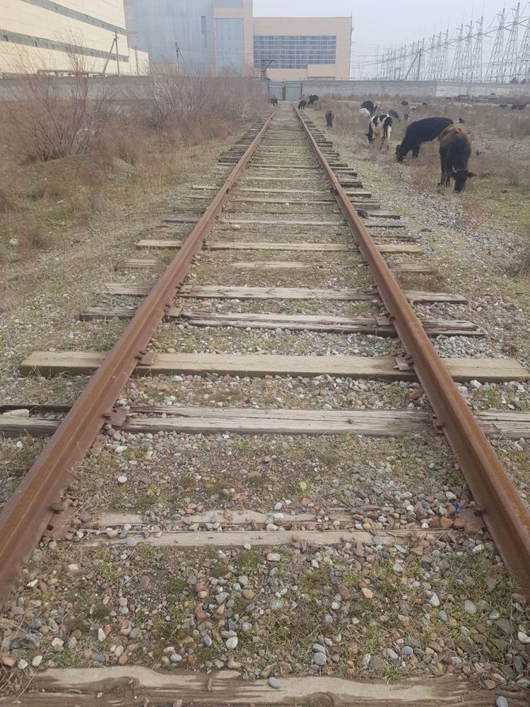 Issiqxona sotiladi. 1,5 gektar.