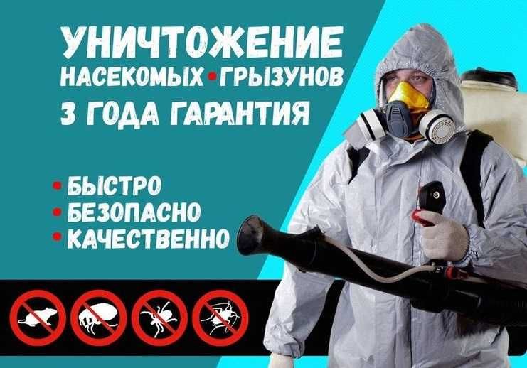 Дезинфекция  Dezinfeksiya Dizinfeksiya KLAPA KLOPA KLOP ga qarshi