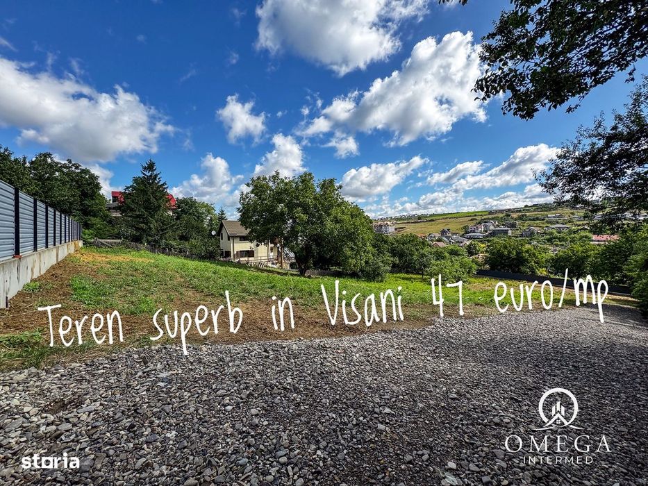 Teren Visani Str. Marin Sorescu 47 euro