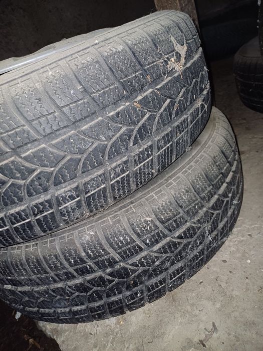 Tigar winter 1 (195 65 r15)