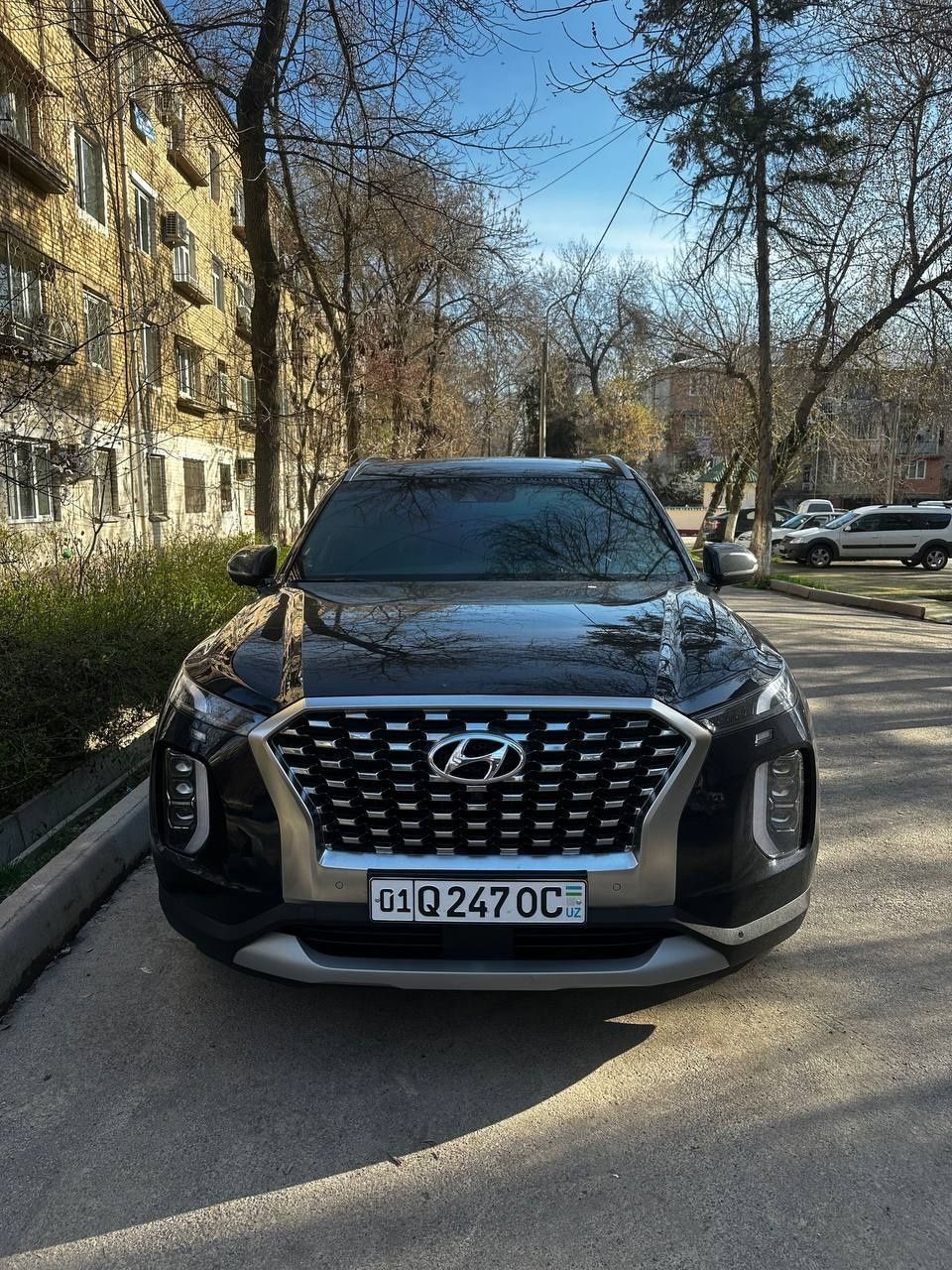 Hyundai Palisade 2019 год панорама фулл пакет