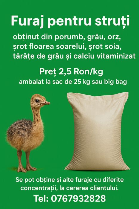 Furaj pentru struti