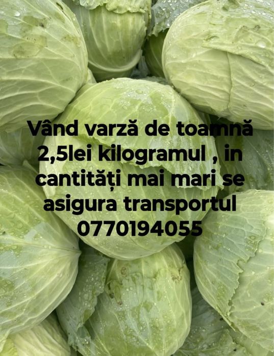Varza de vanzarea