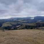 Vând 2 hectare de teren și casă batraneasca