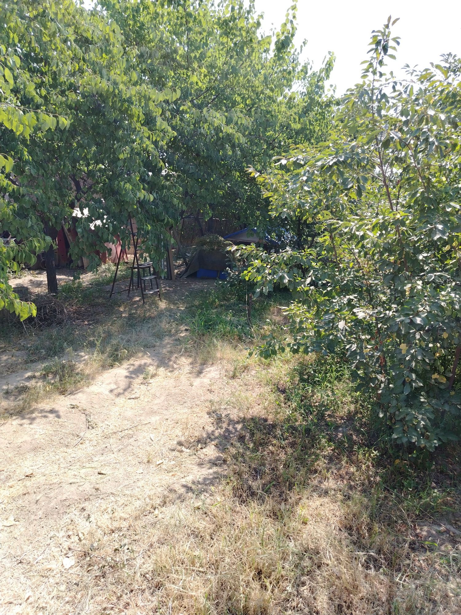 Продаётся дача 20 соток
