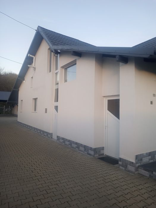 Vopsim orice tip de tabla/acoperiș/lambriu din lemn