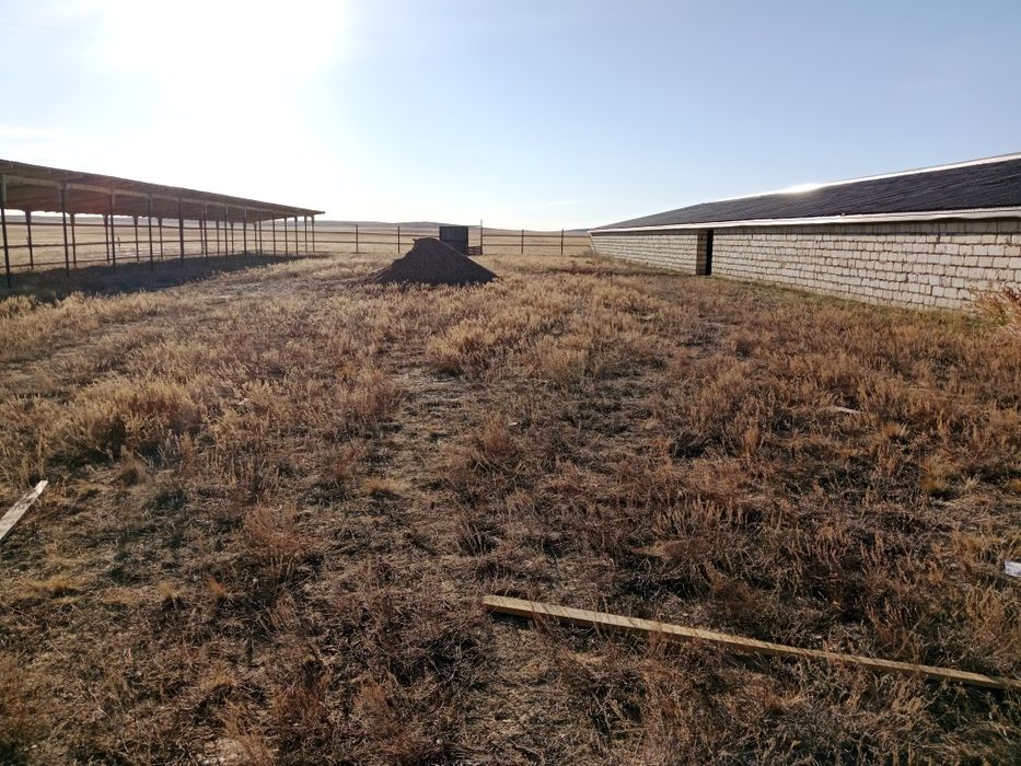 Продам хозяйства зимовка