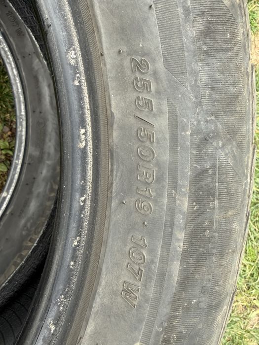 255 50/19 Gripmax Suregrip