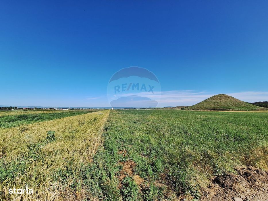 Teren intravilan Maracineni / Strada Manga