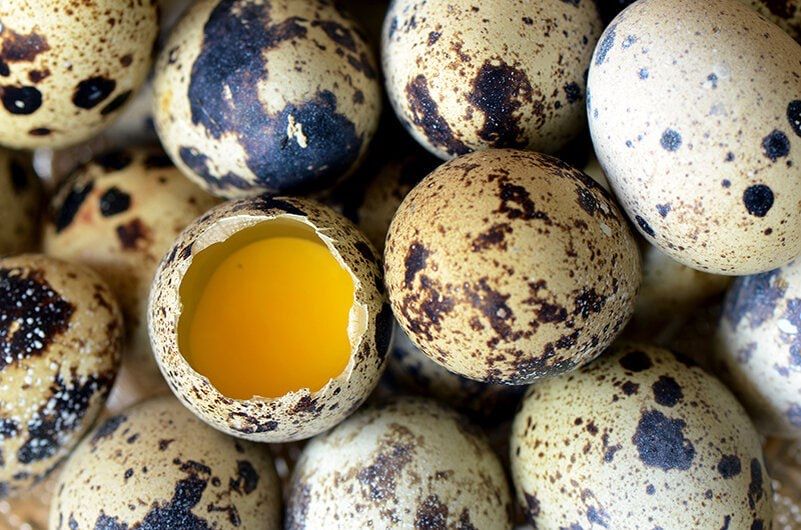 Перепелиный Яйца 550сум