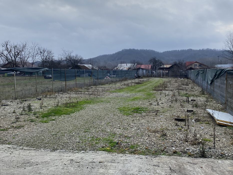 Vand/Inchiriez Hala metalica si teren intravilan, Magurele-Prahova