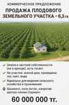 Плодовый сад 6,3 га + дом. Горячее предложение!