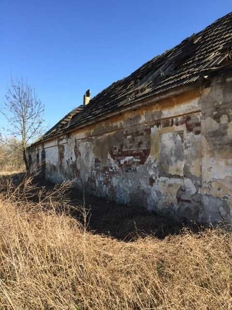 Vand casa cu teren intravila cu numar de casa in Cenad, Timis