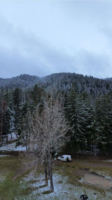 Teren intravilan de vanzare !!!