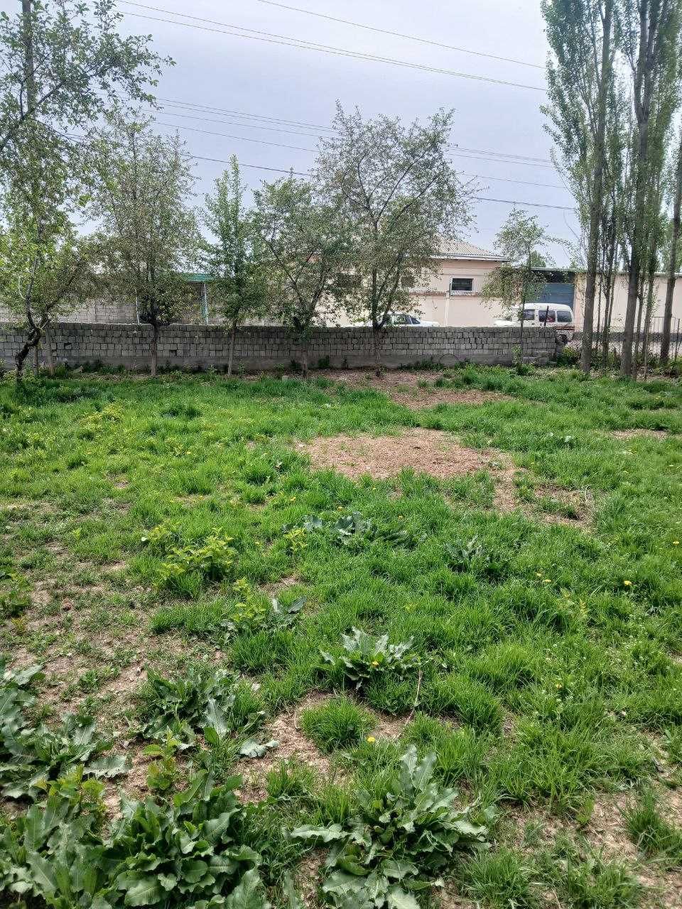 Срочно продам земля в хорошим месте
