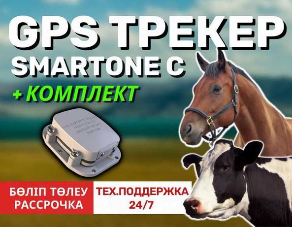GPS трекер SmartOne C / жануарларға(для животных) /жылқы,сиыр, лошадей