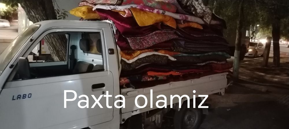 Assalomu alaykum paxta korpacha вата olamiz  24/7..