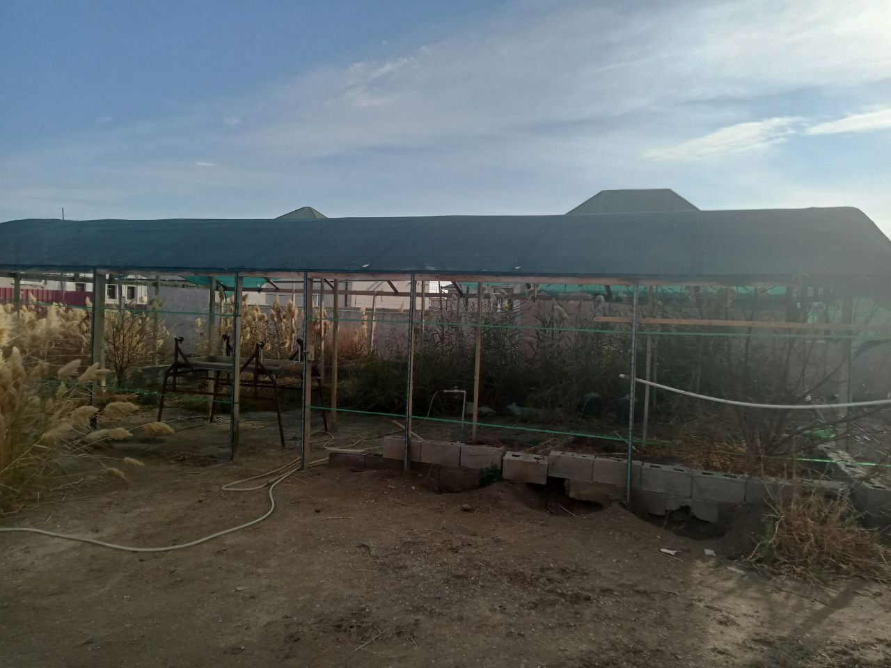 Теплица 12×6
Теплица 12х6 = 6 мл