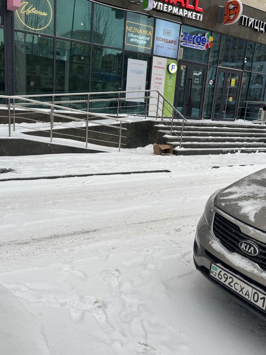 Котик срочно ищет дом