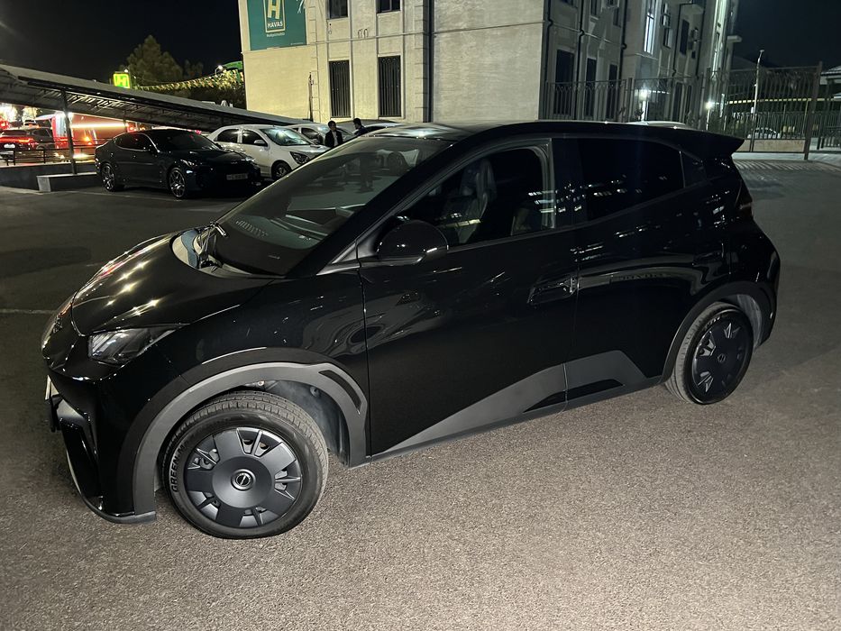 Насия Byd seagull 305 km