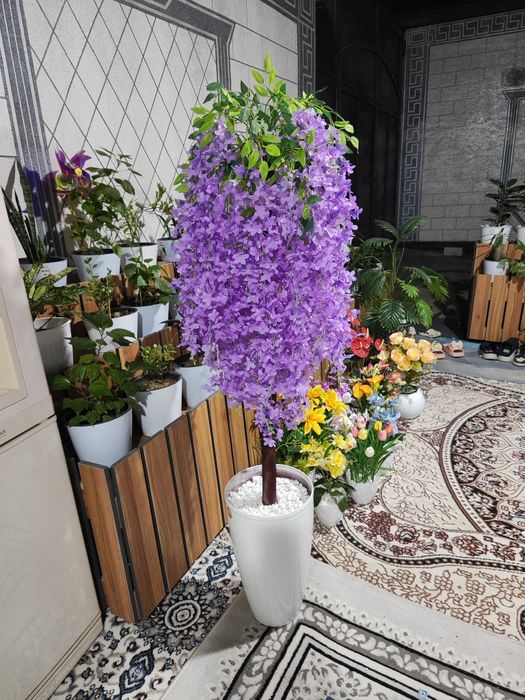 Декоративные дерево оптом