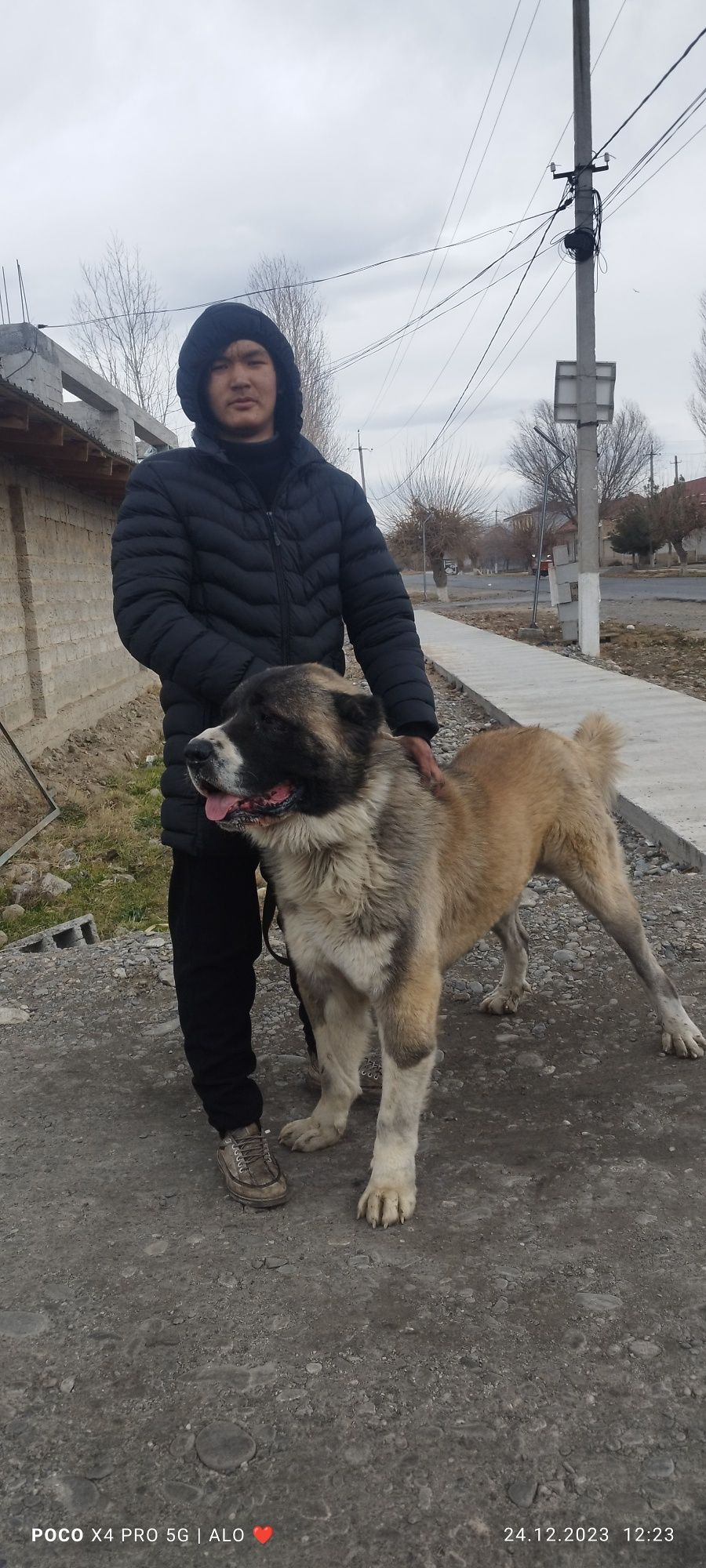 Zoti toz 40 kunligidan ozim katta qilganman