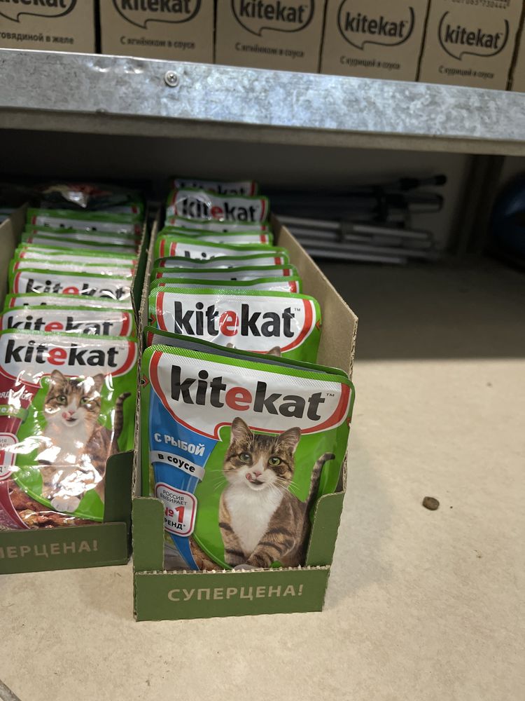 Корм Китекат желе патчи kitekat все вкусы