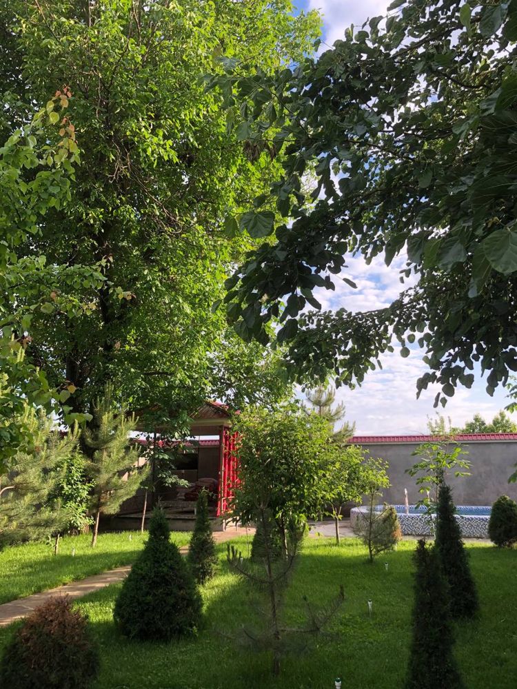 Дача Октош Ойлавий  Dacha oqtosh quyoshga yaqin joy.