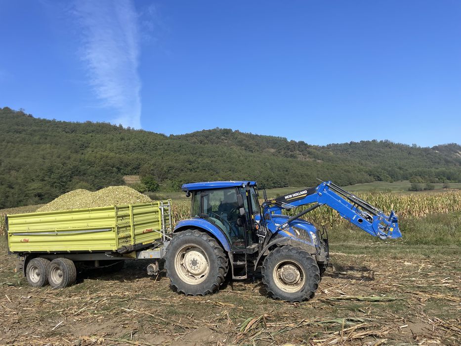 Porumb siloz recolta 2025