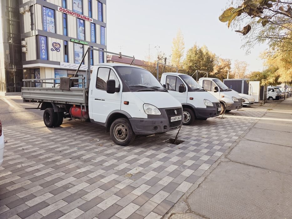 Gazel Gurzavoy Sotiladi