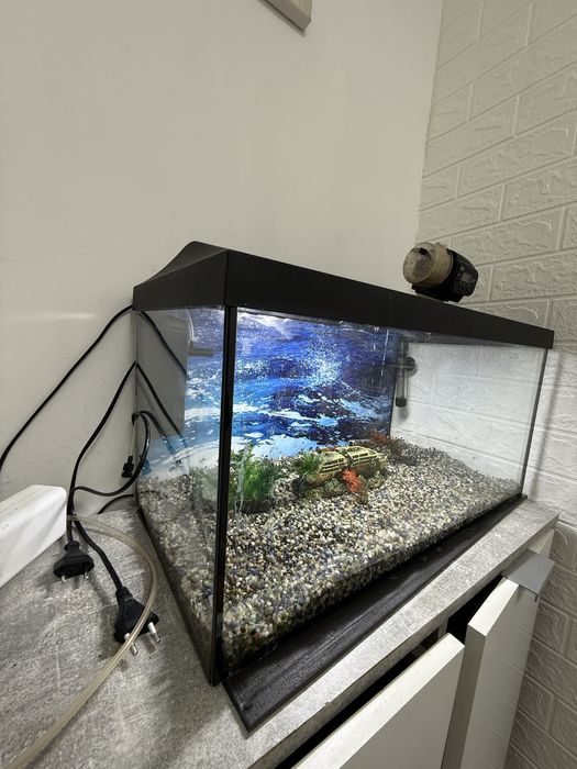 Acvariu 60 l Aquael