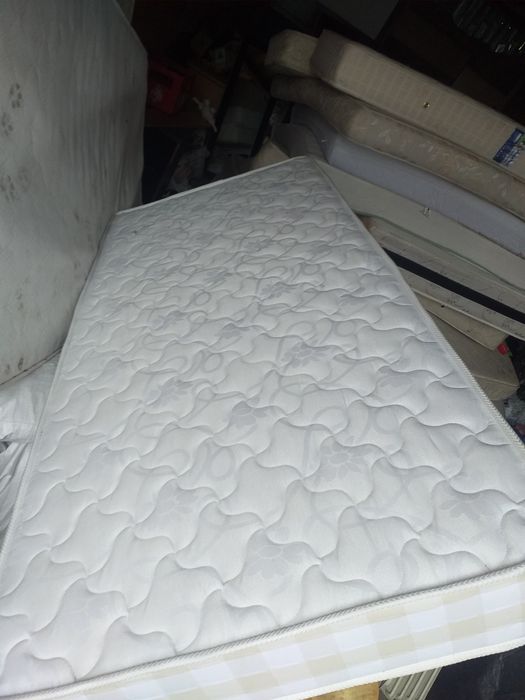 Vand saltele orice dimesine