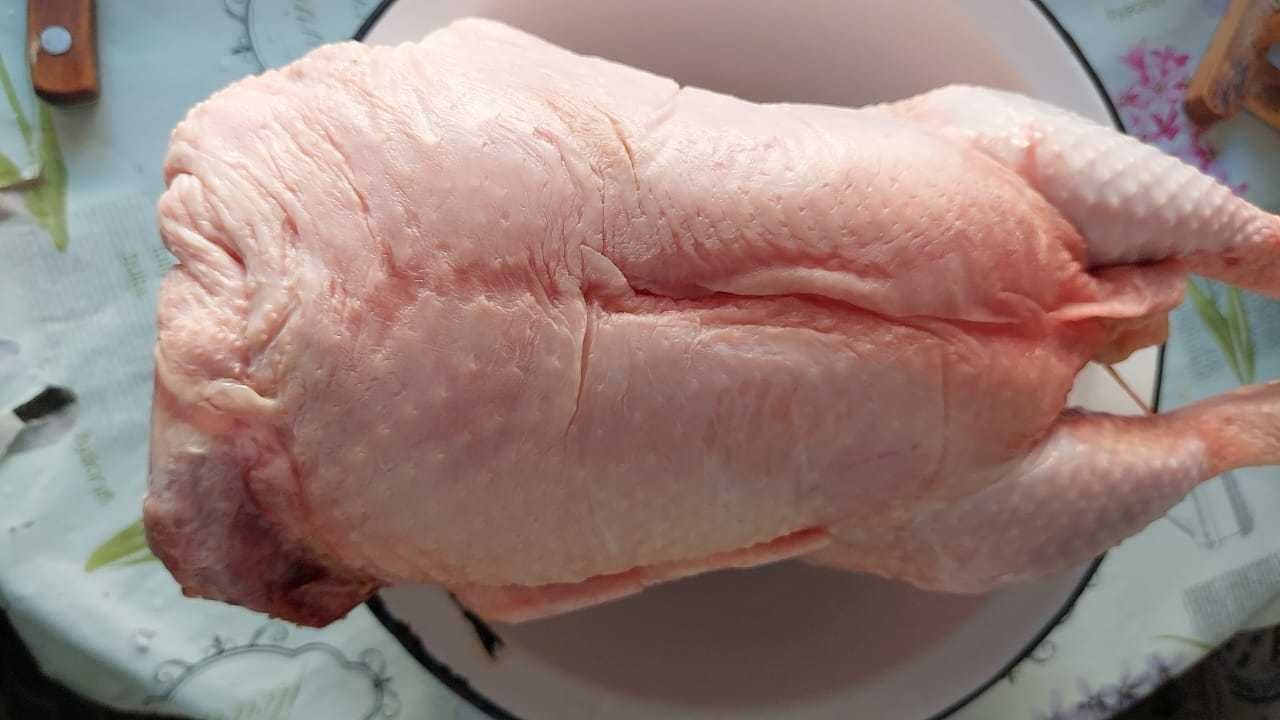 Куры бройлер  свежи забой продажа коробками
