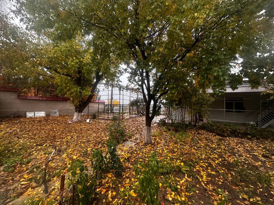 Дачный участок в Чирчике