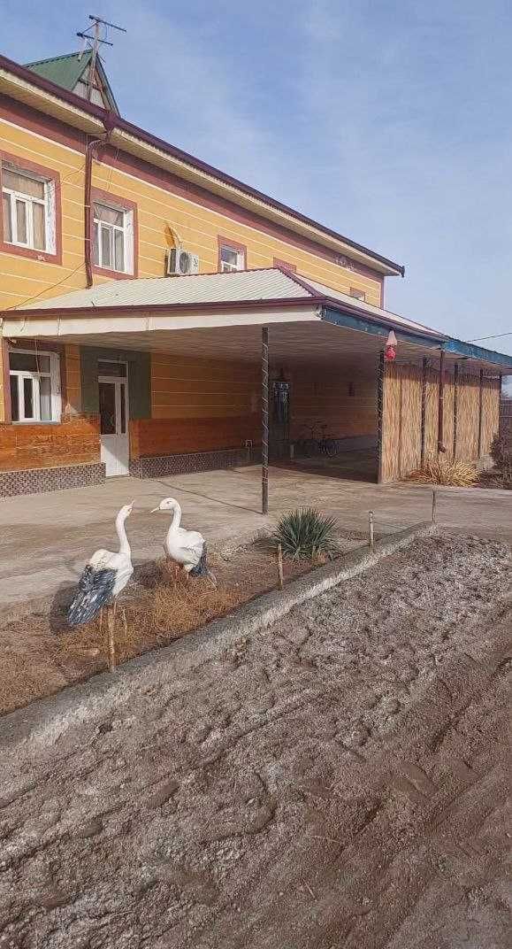 Qonlikol tumanida noturar bino bolib tolash sharti asosida sotilmoqda