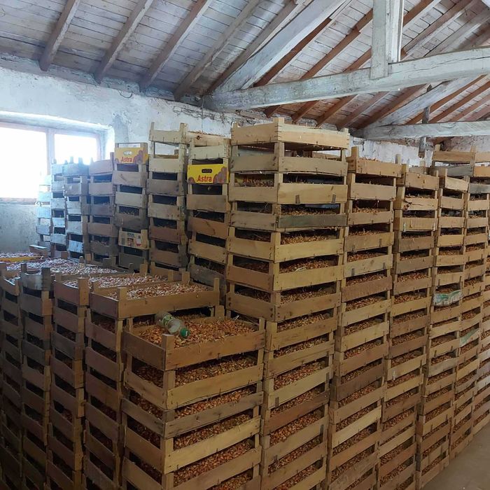 Арпаджик и Балучка