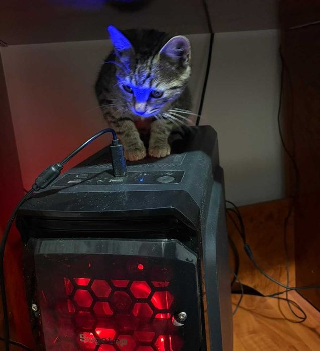 PC Ryzen 5 5500/RX 580/16GB + Monitor Acer Nitro