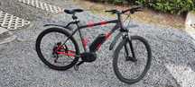 Bicicleta electrica Bosch CX Performance